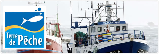 Poissons et crustacées frais